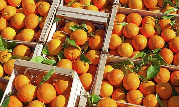 сельскохозяйственной продукции, сырья и продовольствия, страной происхождения которых является Турецкая Республика и которые запрещены к ввозу в Россию
